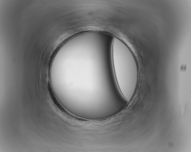 X0000092250011200709141014