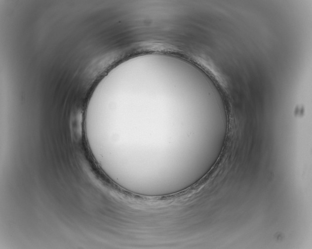 X0000092250014200709141014