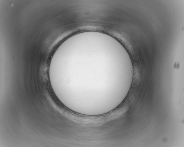 X0000092250016200709141014