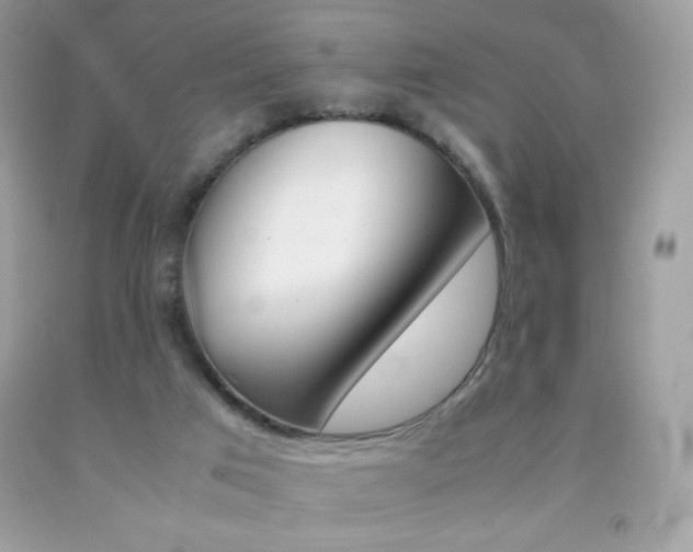 X0000092250017200709141014