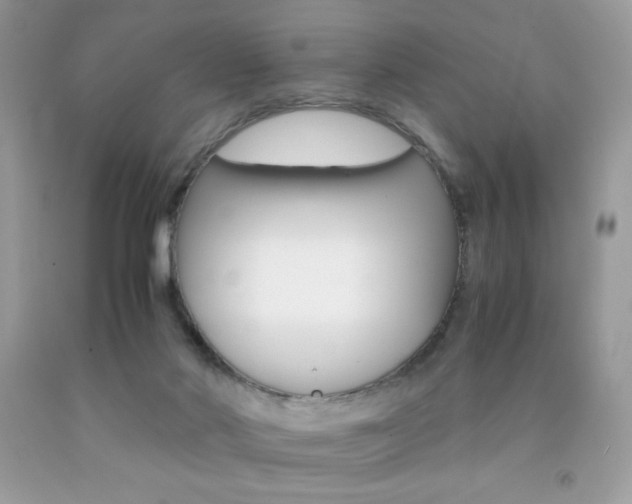 X0000092250022200709141014