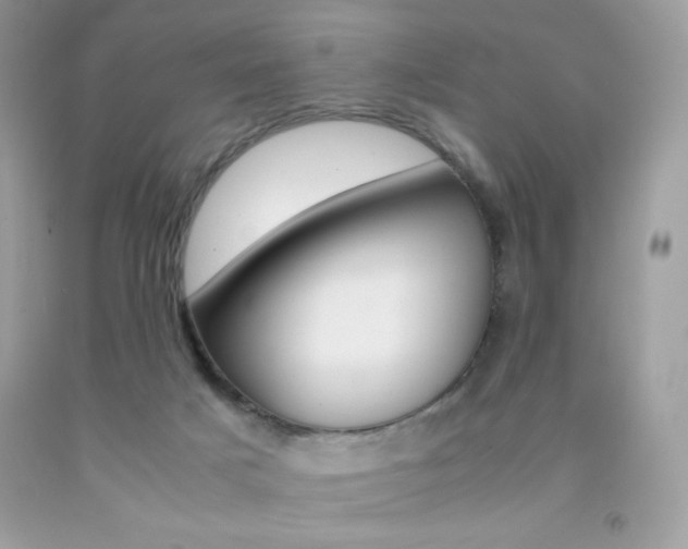 X0000092250025200709141014