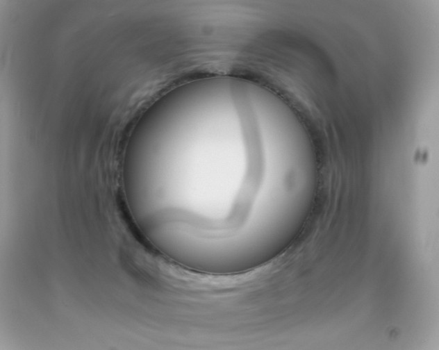 X0000092250031200709141014