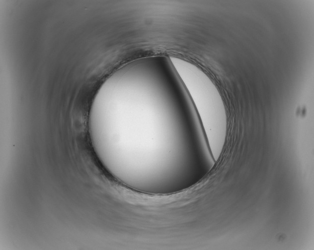 X0000092250039200709141014