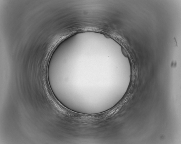 X0000092250049200709141013