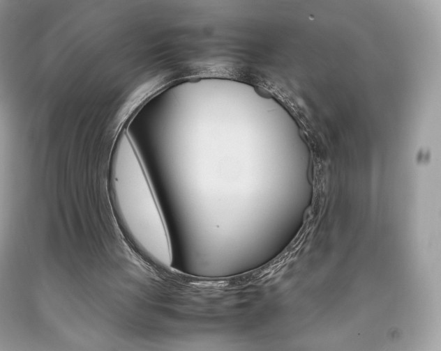 X0000092250051200709141013