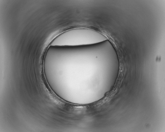X0000092250053200709141013