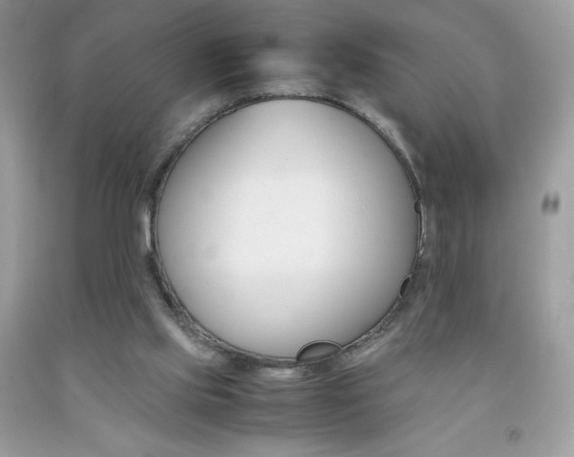 X0000092250061200709141014