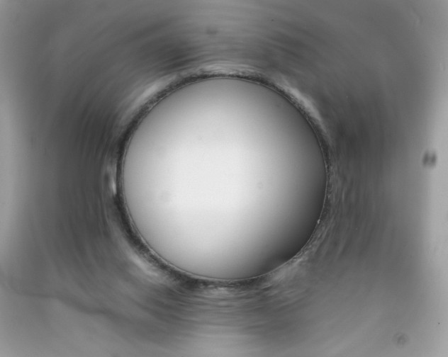 X0000092250062200709141014