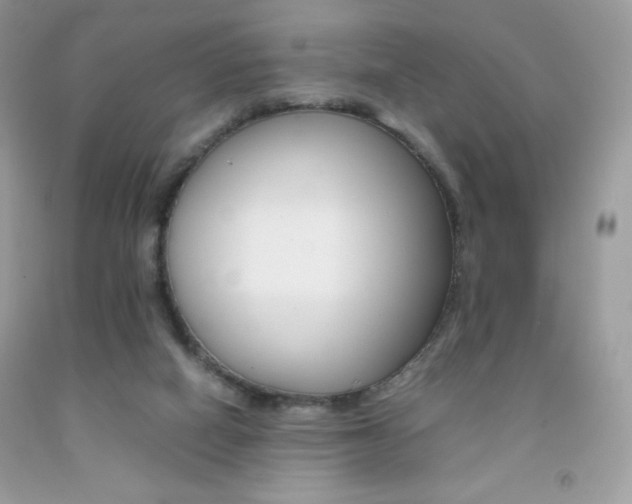 X0000092250066200709141014