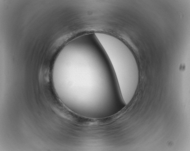 X0000092250068200709141014