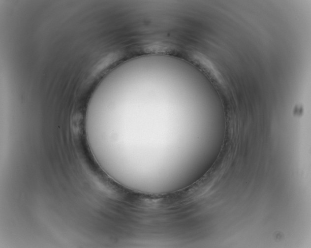 X0000092250071200709141014