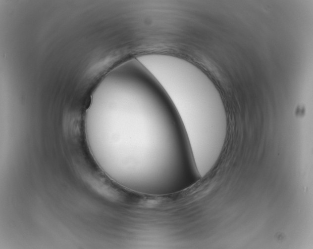X0000092250072200709141014