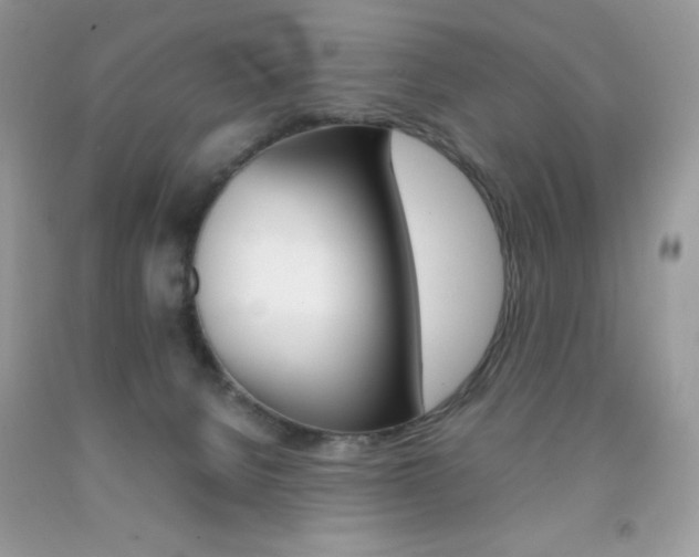 X0000092250080200709141014