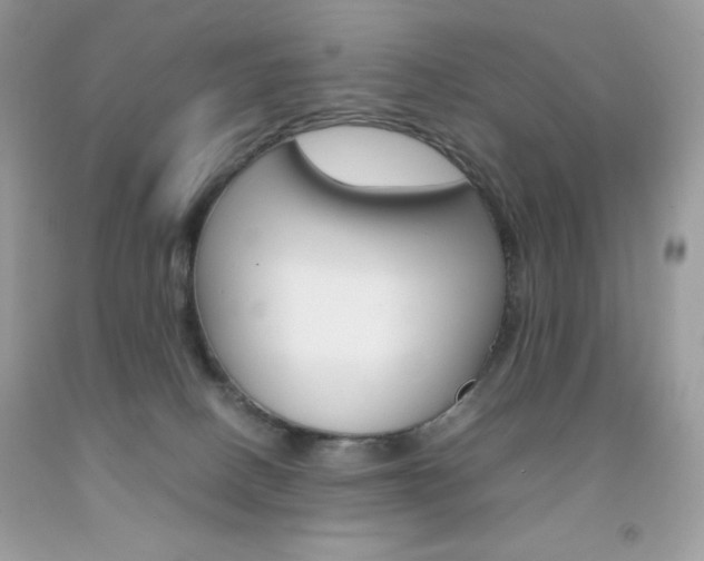 X0000092250082200709141014