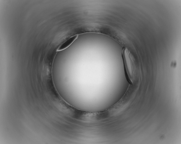 X0000092250084200709141014