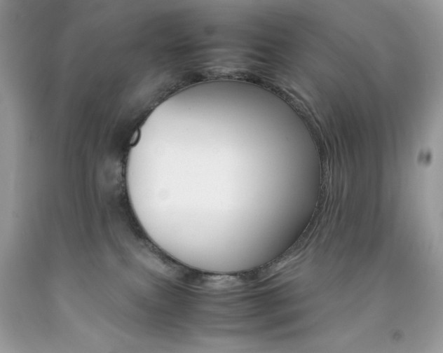X0000092250087200709141014