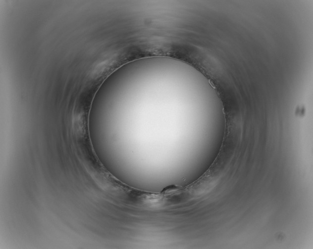 X0000092250088200709141014