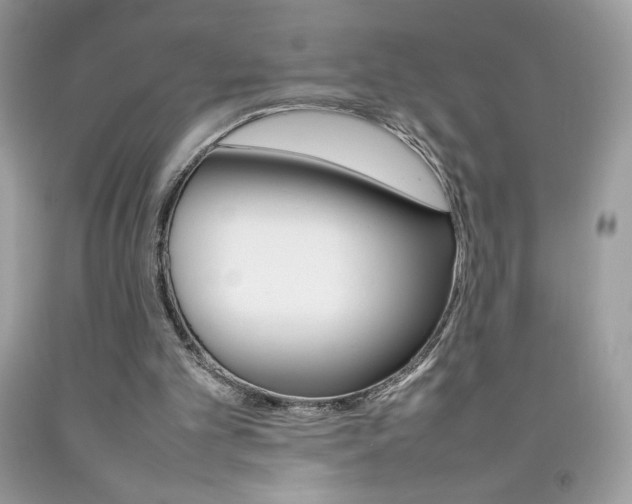 X0000092250101200709141013