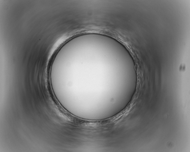 X0000092250102200709141013