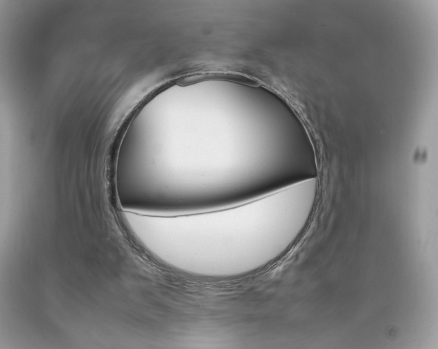 X0000092250103200709141013