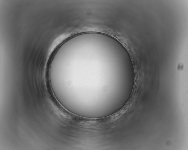 X0000092250104200709141013