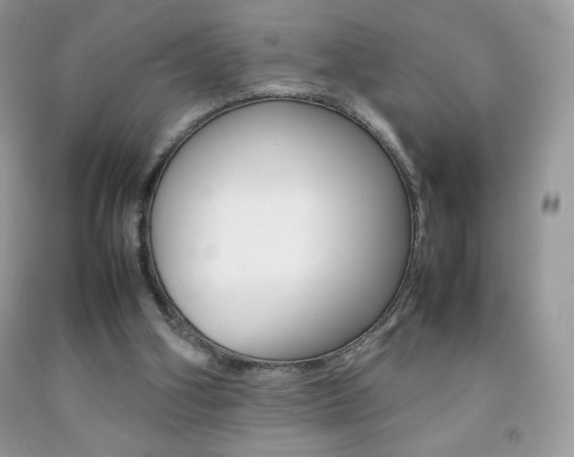 X0000092250106200709141013