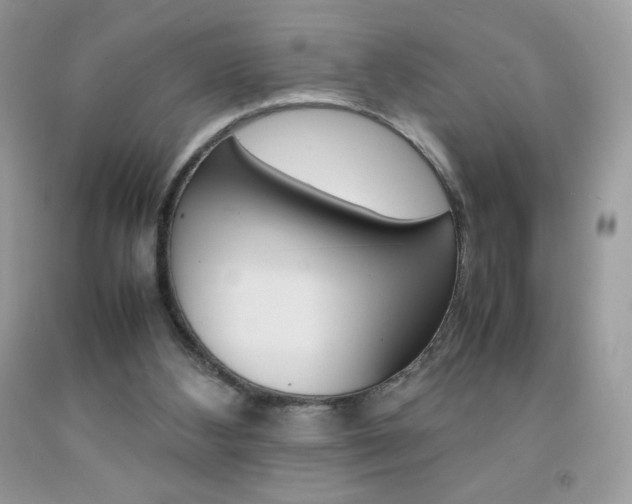 X0000092250108200709141013