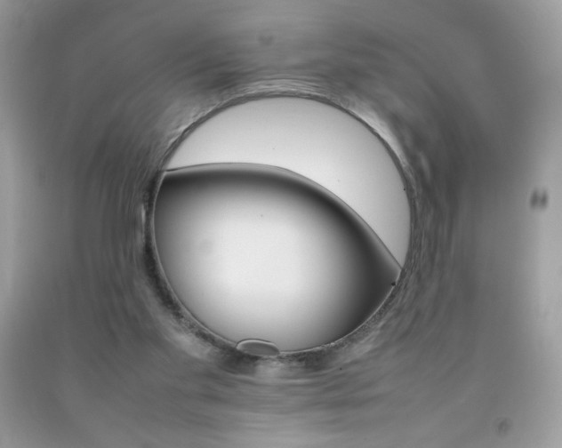 X0000092250109200709141013