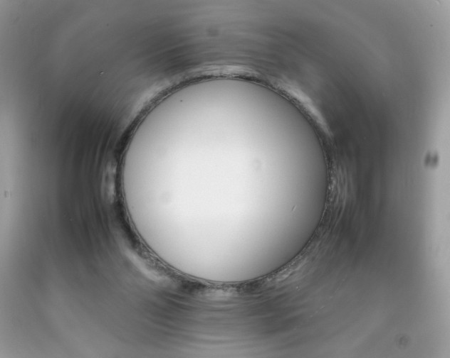X0000092250110200709141013