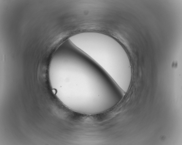X0000092250115200709141013
