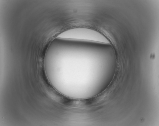 X0000092250117200709141013