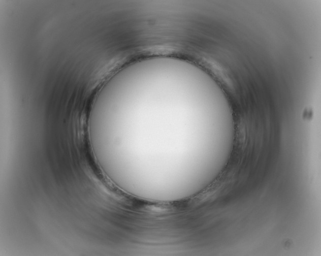 X0000092250118200709141013