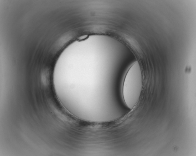 X0000092250120200709141013