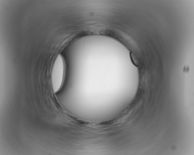 X0000092250121200709141013