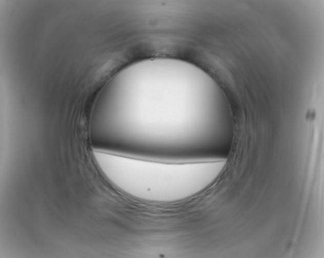 X0000092250123200709141013