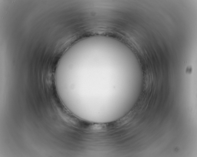 X0000092250126200709141013