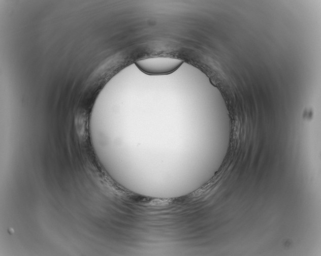 X0000092250138200709141013