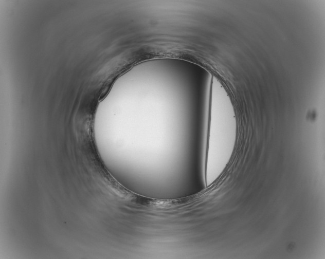 X0000092250141200709141013