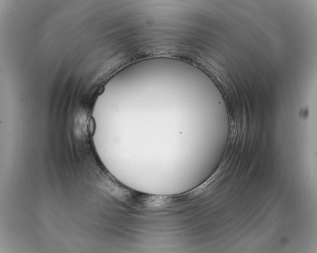 X0000092250142200709141013