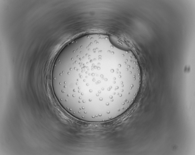 X0000092250145200709141012