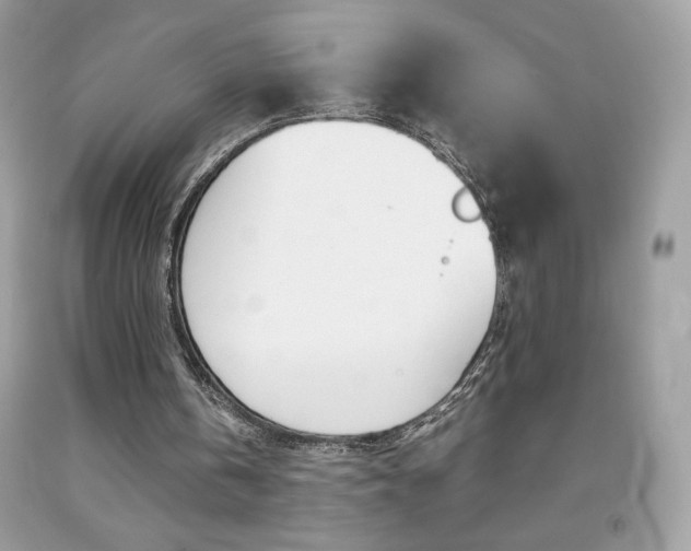 X0000092250146200709141012