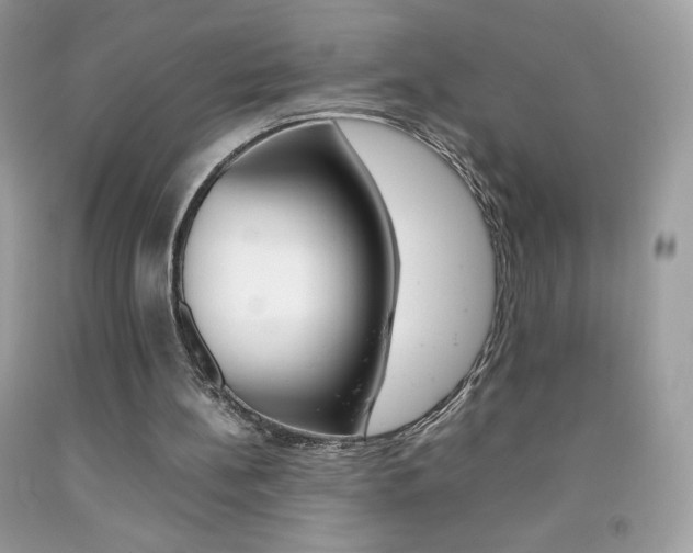 X0000092250148200709141012
