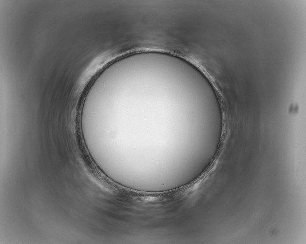 X0000092250151200709141012