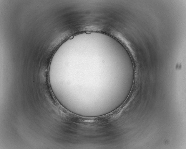 X0000092250153200709141012