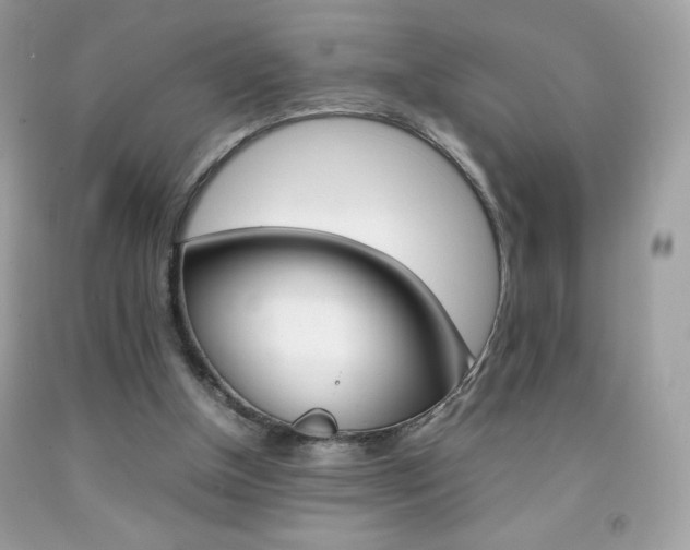 X0000092250154200709141012