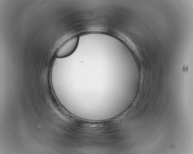 X0000092250155200709141012