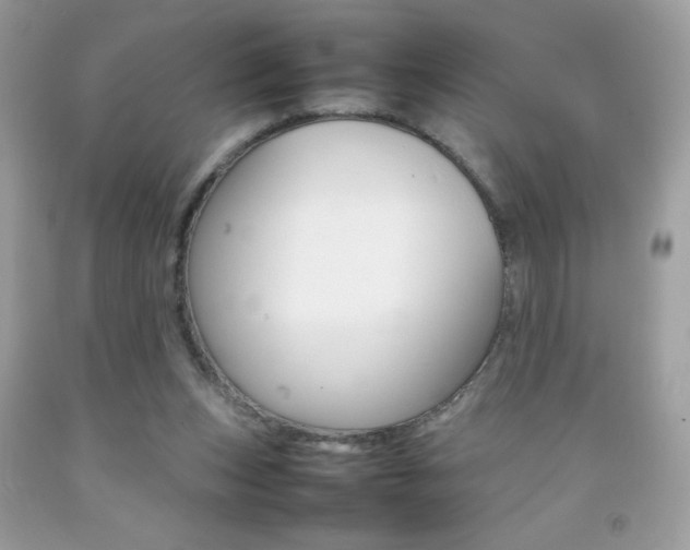 X0000092250159200709141012