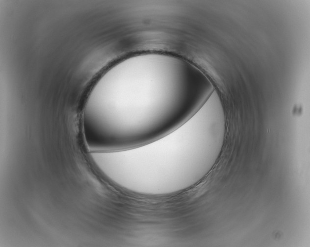 X0000092250160200709141012