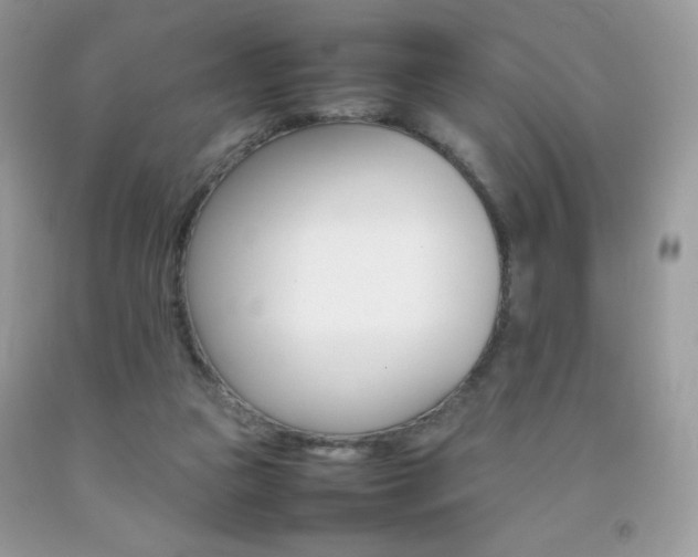 X0000092250161200709141012